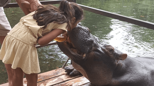 Opening hours (Bookings only)